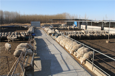 张掖市畜牧兽医局牧场工程设计要点与发展趋势