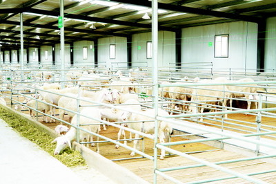 镜头下的世界 图片新闻的力量与影响